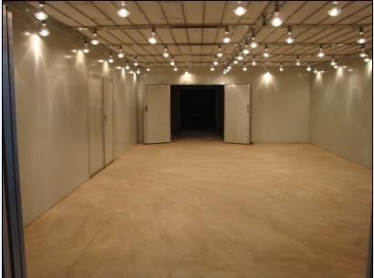 �����޳����᷿